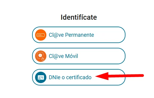 Seleccionar DNIe o Certificado Digital