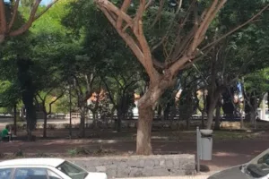 Centro Seguridad Social INSS La Orotava Nº4