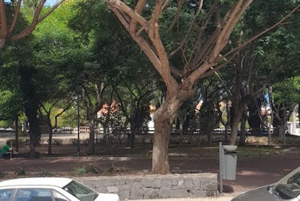 Centro Seguridad Social INSS La Orotava Nº4