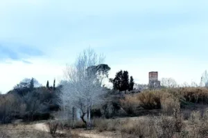 Tesorería General Seguridad Social TGSS Cerdanyola del Vallès Nº25